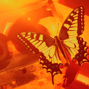 スワロウテイル：貨幣再野生化と不透明な原質――トキクロ制作の表象