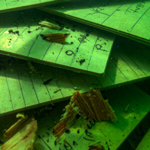 舟を編む：独我論的解放区――トキクロ制作の表象