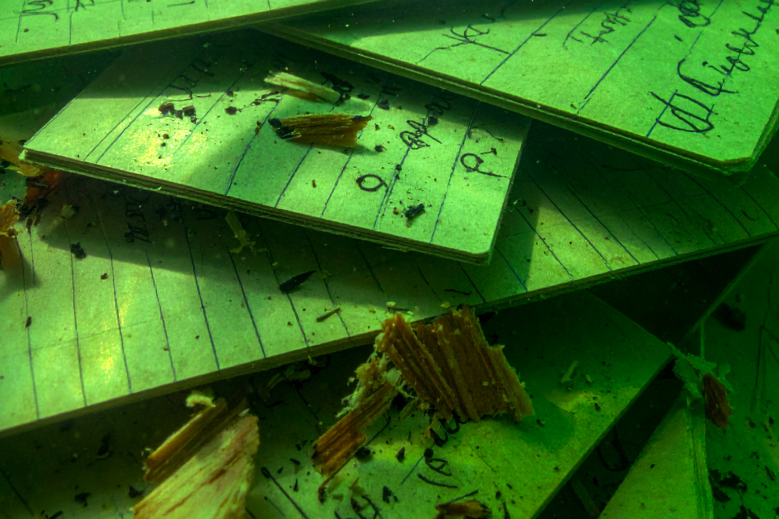 舟を編む：独我論的解放区――トキクロ制作の表象