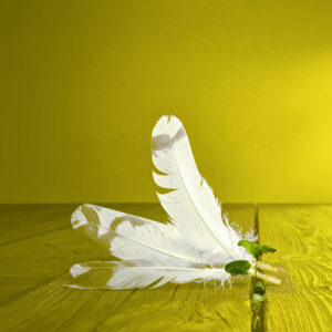 灰羽連盟：不条理の攻略・規律の外骨格――トキクロ制作の表象