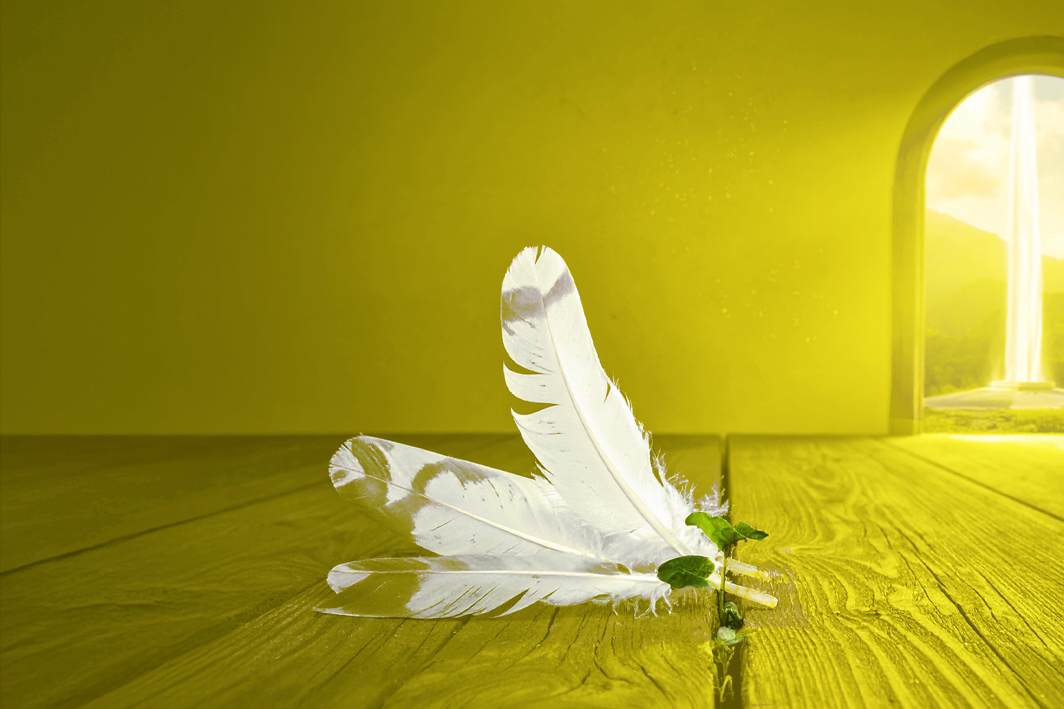 灰羽連盟：不条理の攻略・規律の外骨格――トキクロ制作の表象