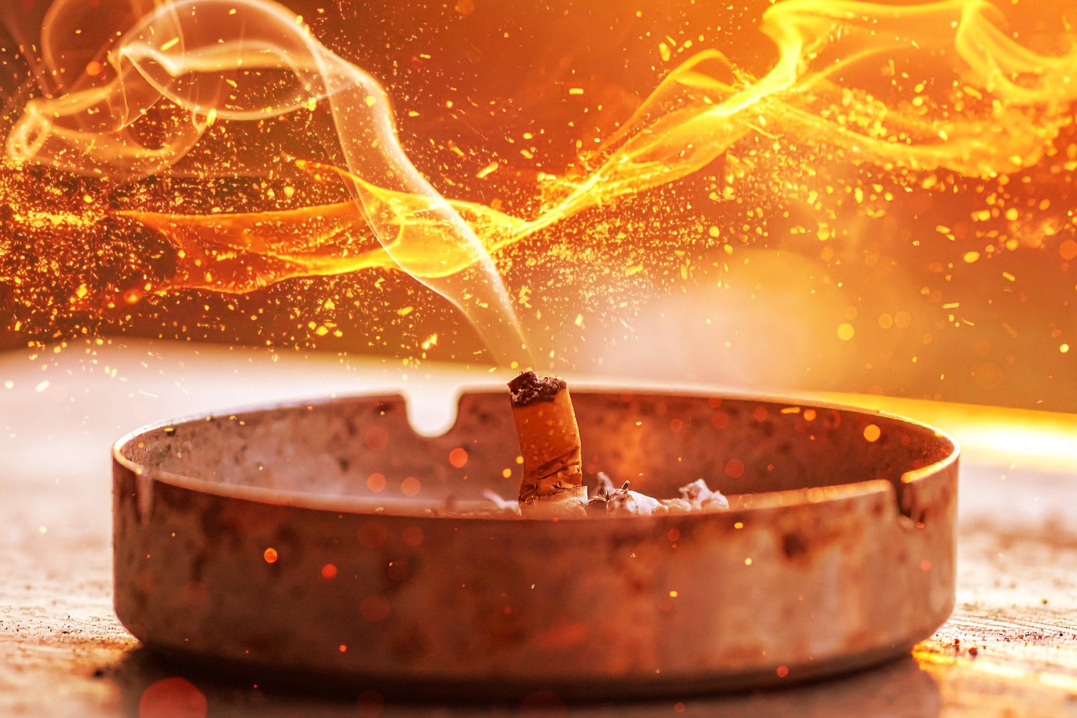 カウボーイビバップ：実存的亡命と情報贈与の惑星的交易――トキクロ制作の表象