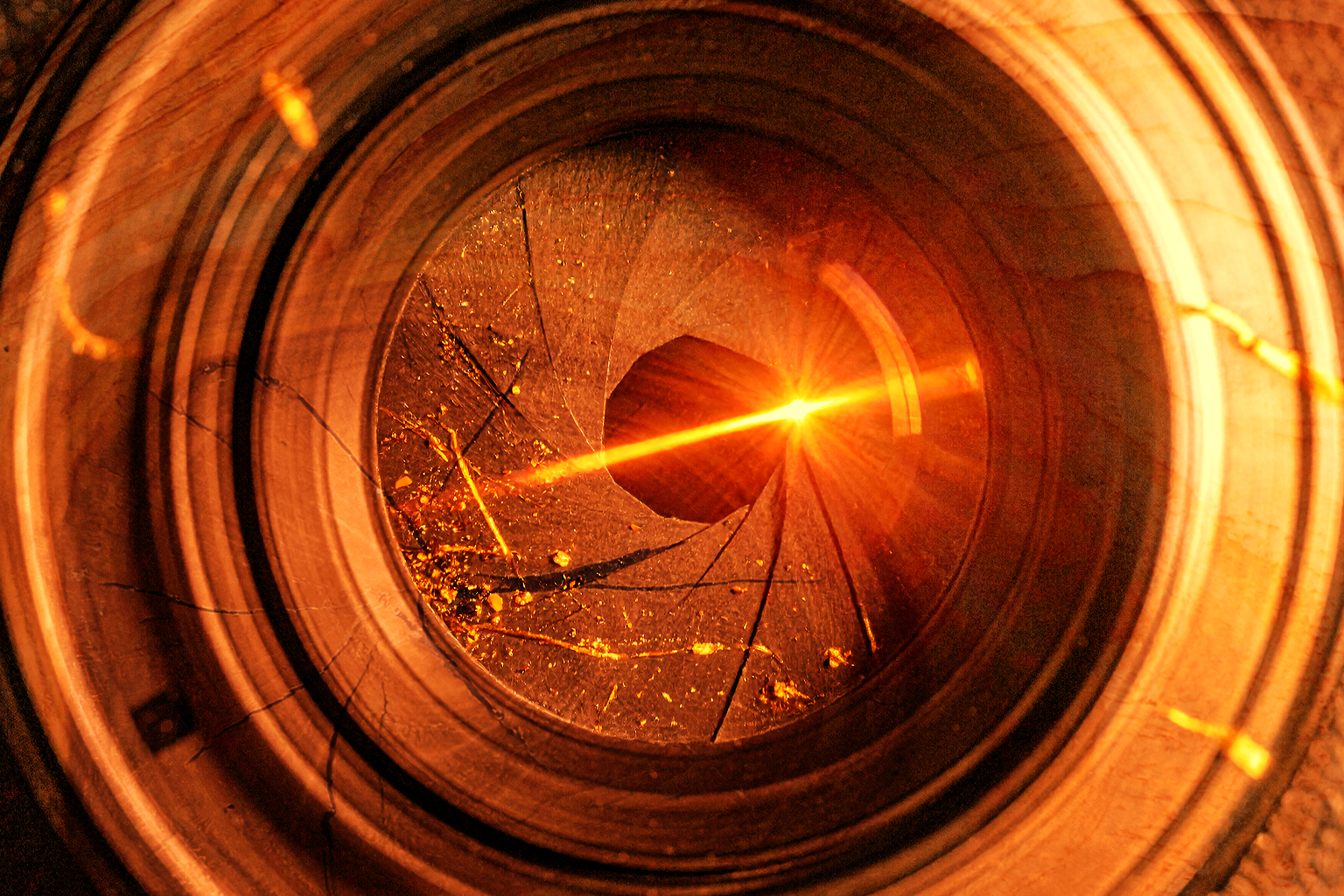 東京日和：模倣と断層による実在研磨――トキクロ制作の表象