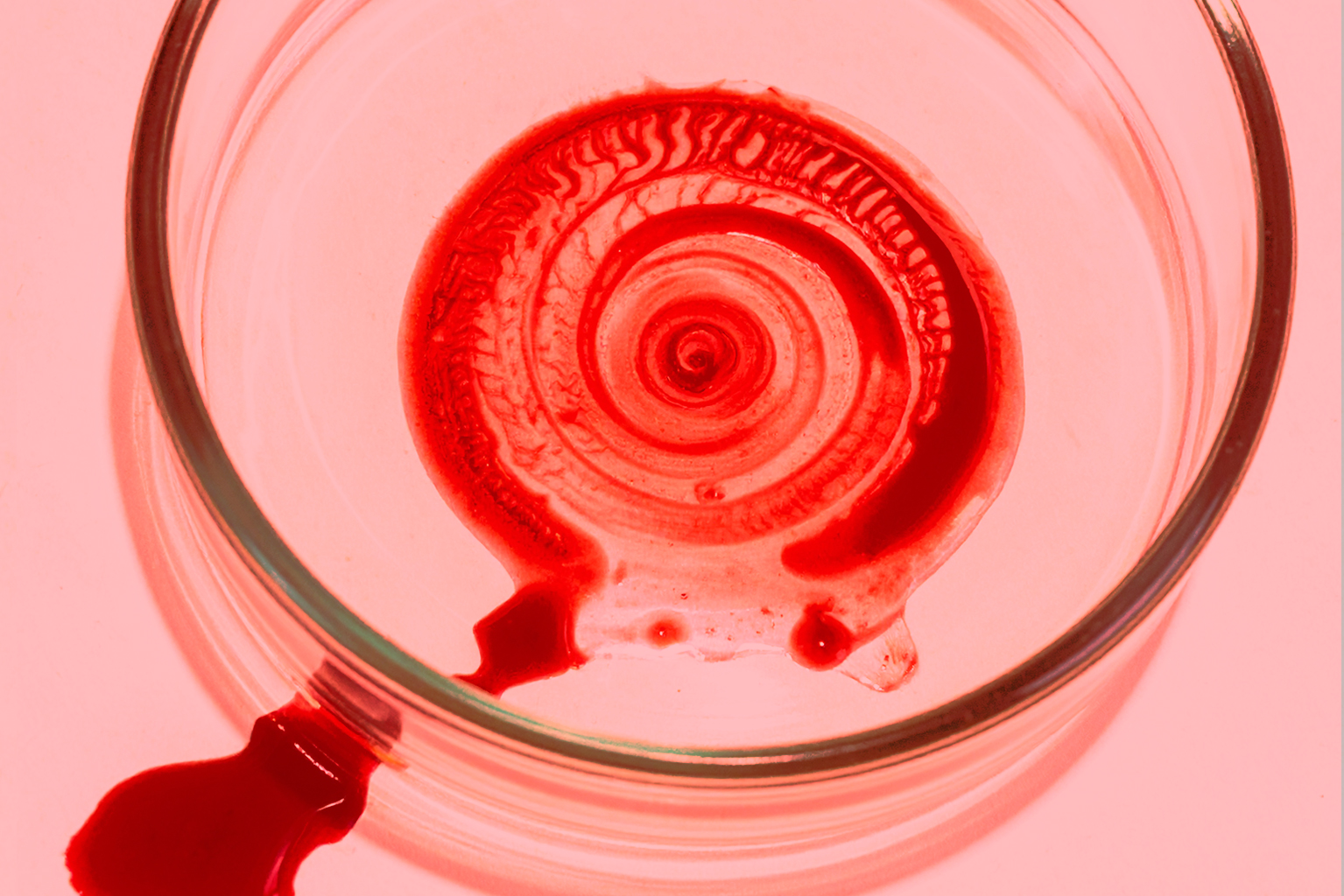 ドグラ・マグラ：脳髄論と胎児の夢への強制接続――トキクロ制作の表象